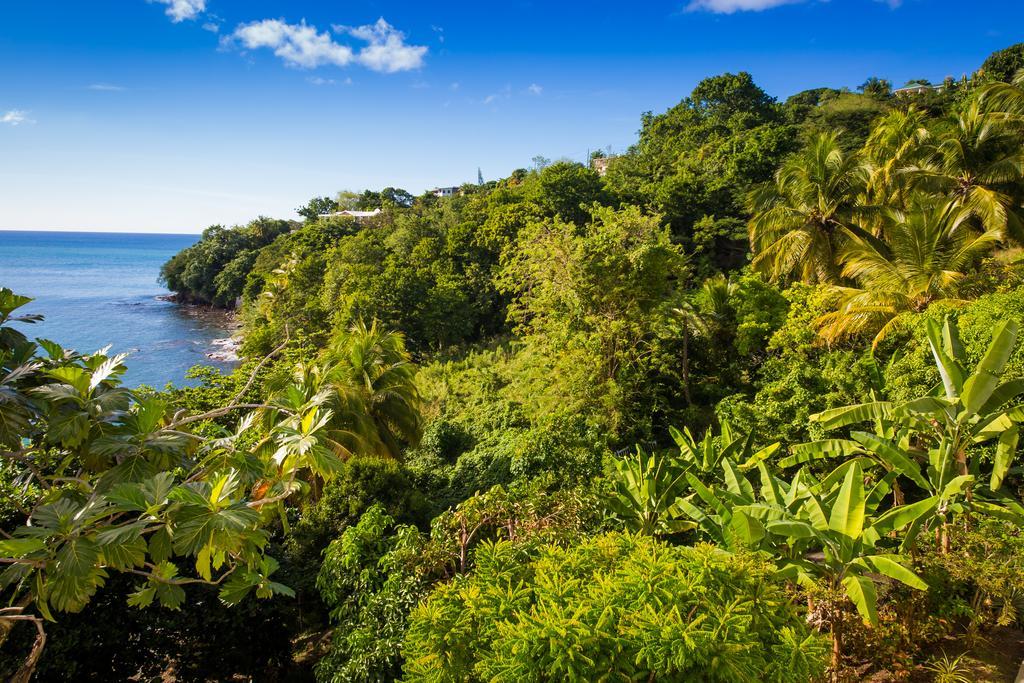 Отель Casa Del Vega A Little Peace Of Heaven Кастри Экстерьер фото